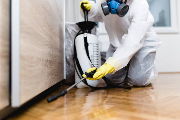 Best Affordable Pest Control Services  in Casselton, ND