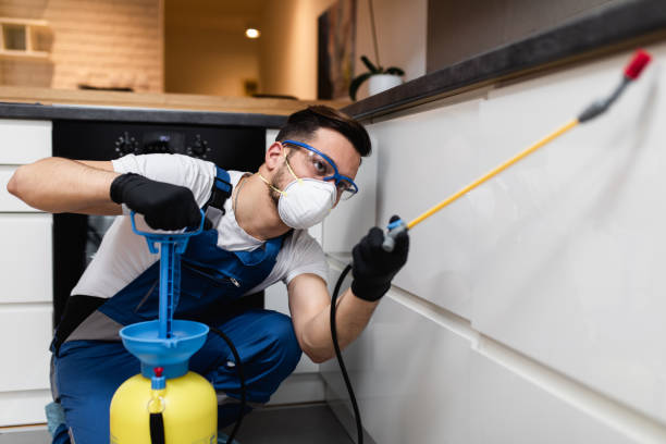 Best Wasp Removal Services  in Casselton, ND