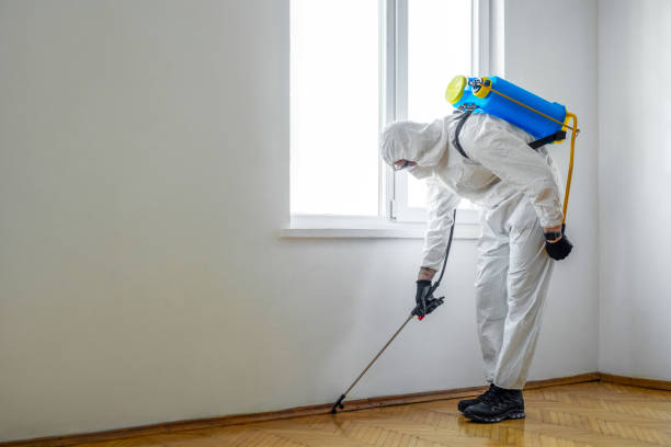 Best Pest Removal Services  in Casselton, ND