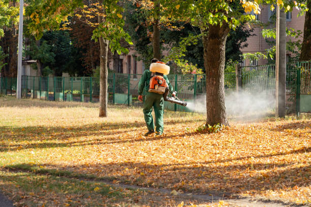 Trusted Casselton, ND Pest Control Experts
