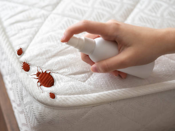 Best Best Pest Control Companies  in Casselton, ND