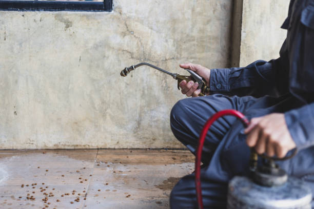 Best Mosquito Control Services  in Casselton, ND